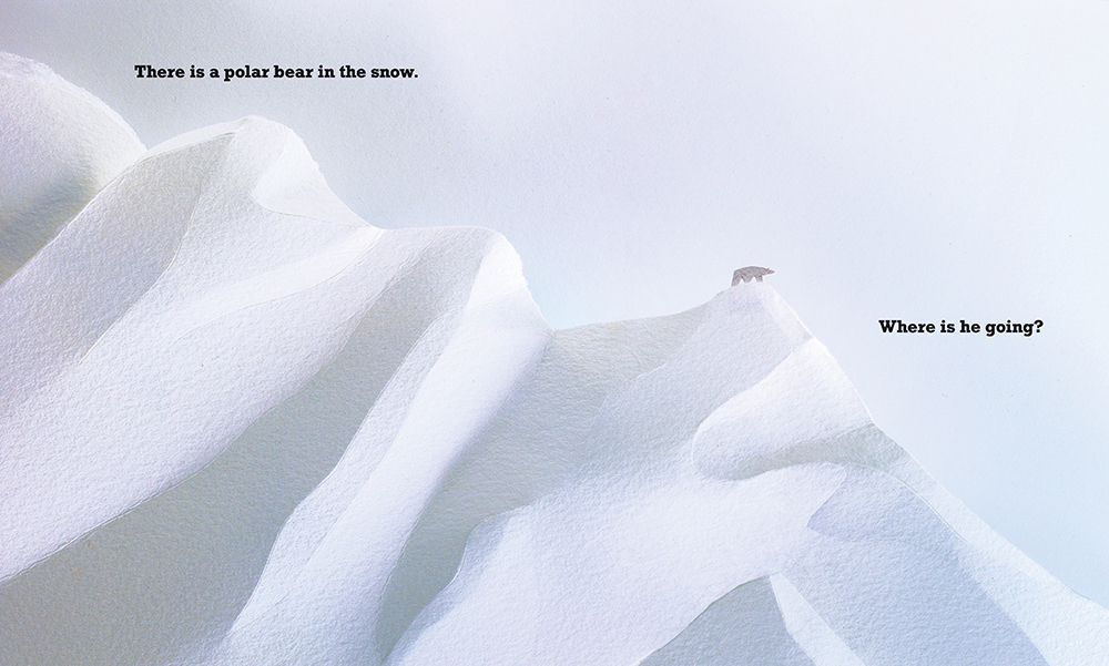 A Polar Bear in the Snow Cover101